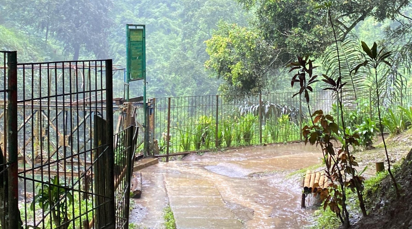 Taman Hutan Raya V2